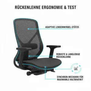 Unterstützung der Wirbelsäule als Kriterium im langlebiger bürostuhl test.