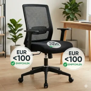 Einstellungsmechanismus für die Sitzhöhe und Rückenlehne bei einer Bürostuhl unter 100 Euro Empfehlung.