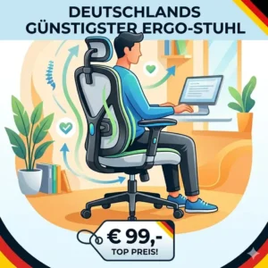 Grafik über die verschiedenen Funktionen für einen günstiger ergonomischer Bürostuhl.