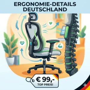 Infografik zum Preis-Leistungs-Verhältnis für einen günstiger ergonomischer Bürostuhl.